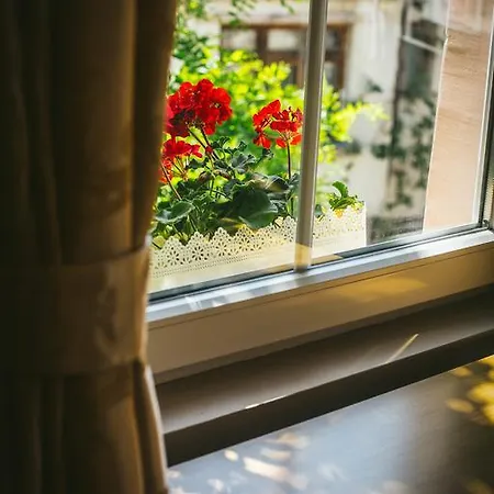 Boutique 3 Levels Town House Plovdiv